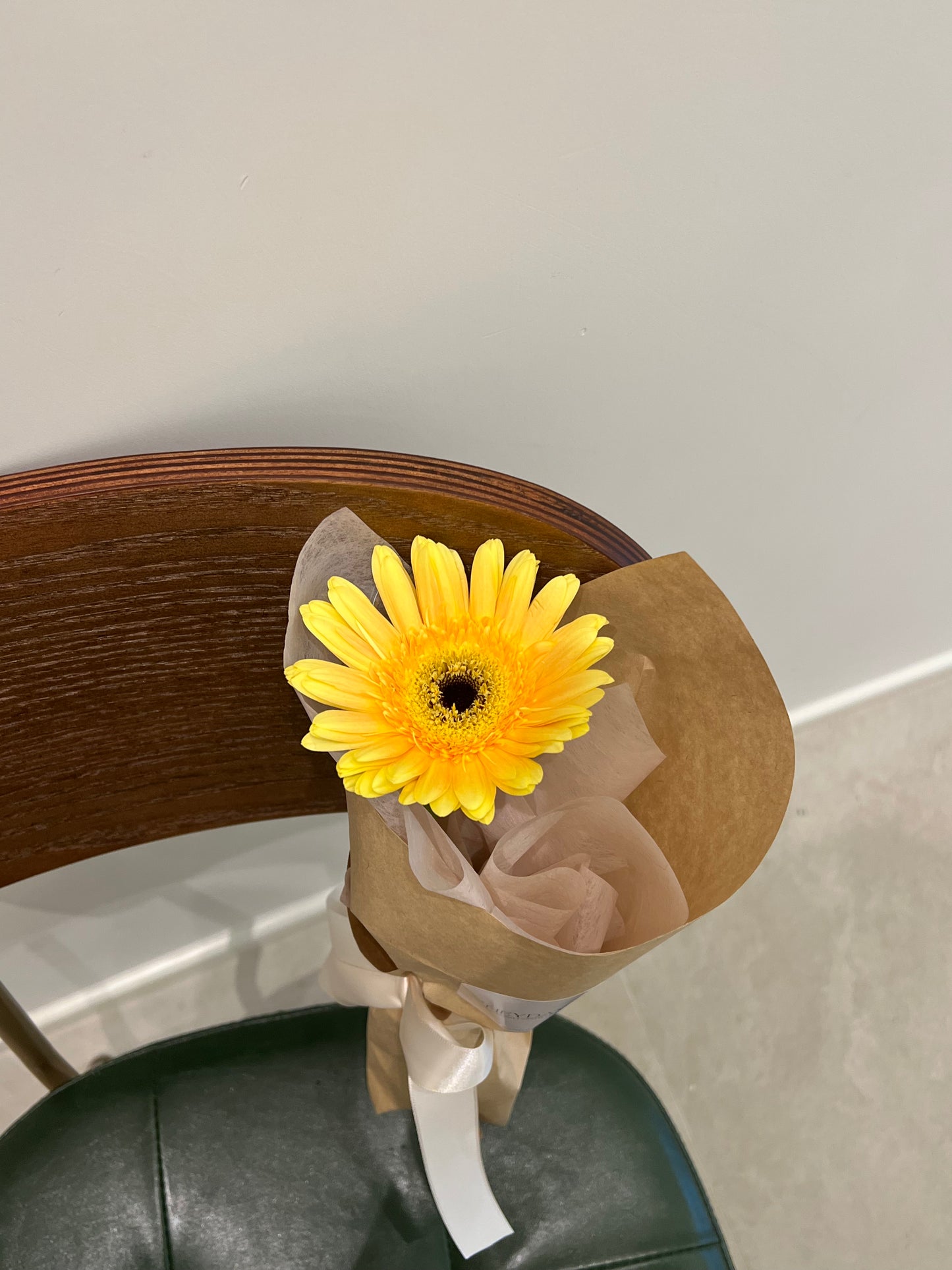 Gerbera