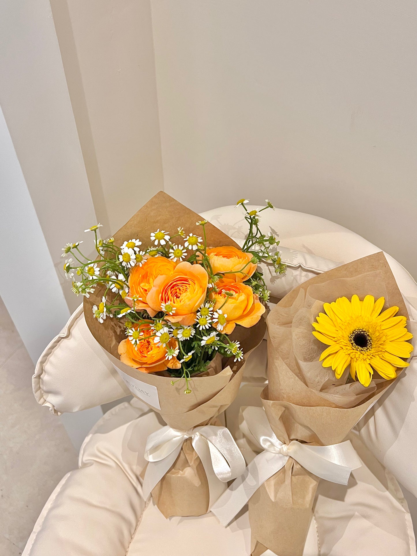 Gerbera