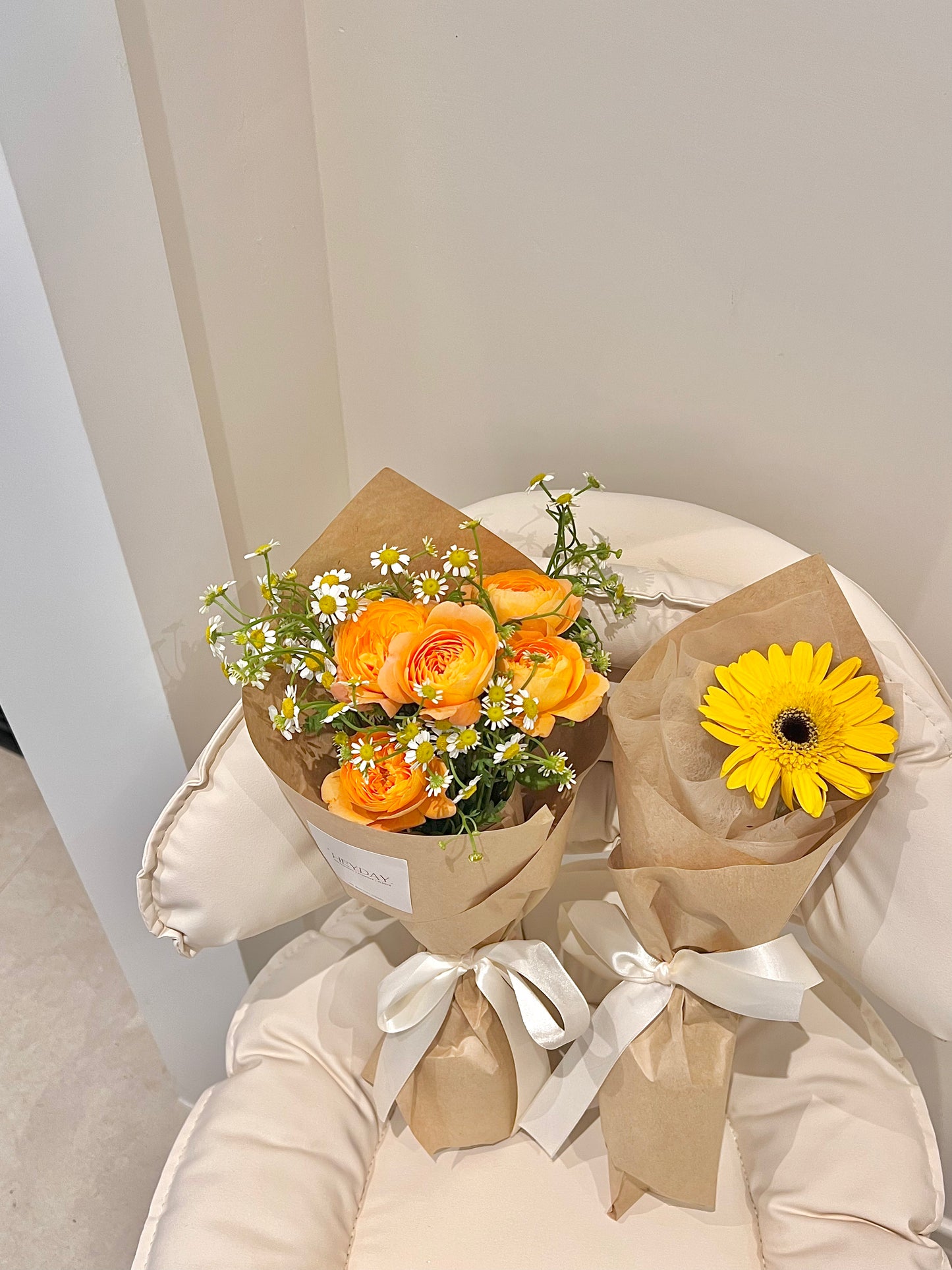 Gerbera